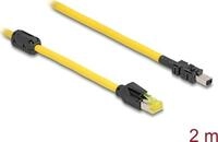 Delock Kabel RJ45 Stecker Cat.6 zu Mini I/O 8 Pin D-Form Typ 2 2 m (81251)
