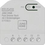 Jung BT P D1 B2 U JUNG HOME Puck Dimmer 1fach m.2 Bin&auml;reing&auml;ngen (BTPD1B2U)