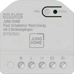 Jung BT P SE1 B2 U JUNG HOME Puck Schaltaktor 1f Energy m.2 Bin&auml;reing&auml;ngen