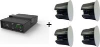 Vivolink Audiopack Subwoofer + 4 x Pro (AUDIOPACK-IC4)