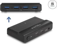 DeLOCK 88066 Computerdatenumschalter (88066)