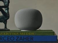 Google Home Grey (GA10554-EU)