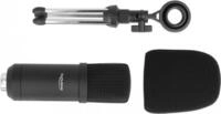 Delock - Mikrofon - Schwarz (66640)