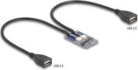 Delock Mini PCIe Adapter full size zu 2xUSB 2.0 Typ-A Buchse - Adapter -