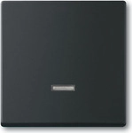 Busch Jaeger 2CKA006599A2968 Elektroantrieb IP20 Schwarz (2CKA006599A2968)