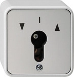 GIRA 014430 Lichtschalter Grau (014430)