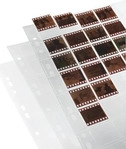 Hama 00002032, Hama Negativ-H&uuml;llen, PP, 1 Blatt f&uuml;r 40 Einzelnegative, 24x36 mm, 25
