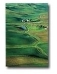 Epson Premium - Seidenmattfotopapier - A3 (297 x 420 mm) - 251 g/m2 - 20 Blatt