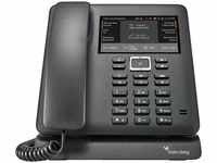 Teldat 5530000348, Teldat ELMEG IP640 IP-Geschäftstelefon nach SIP Standard mit