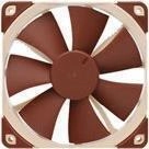 Noctua NF-F12 5V - Geh&auml;usel&uuml;fter - 120 mm (NF-F12 5V)