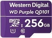 WD Purple SC QD101 WDD256G1P0C - Flash-Speicherkarte - 256GB - UHS-I U1 / Class10 -