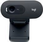 Logitech C505 - Web-Kamera - Farbe - 720p - feste Brennweite - Audio - USB