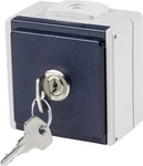as - Schwabe 62461 Aufputz-Steckdose abschlie&szlig;bar IP54 Grau (62461)