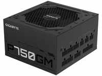Gigabyte GP-P750GM, Gigabyte P750GM - Stromversorgung (intern) - ATX12V 2.31 - 80