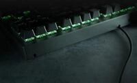 Razer Blackwidow V3 Tenkeyless Tastatur USB QWERTY US Englisch Schwarz
