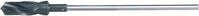 Makita D-70328 Schalungsbohrer 30x400 (D-70328)