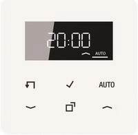 Jung CD1750DWW Timer Standard m.Display (CD1750DWW)
