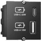 Bachmann Custom module - Modulares Faceplate-Snap-In - USB Type A, USB Typ C -