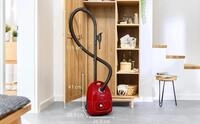 Bosch Serie 4 BGD38RD1H Staubsauger 4 l Trommel-Vakuum Trocken 600 W Staubbeutel