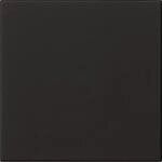 GIRA 5360005 5360005 S3000 Bedienaufs. System 55 (5360005)