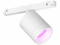 Philips 929003115801, Philips Hue White and Color ambiance Hue Perifo Zylinderspot -
