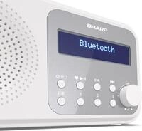 Sharp DR-P420 - Tragbar - Digital - DAB - DAB+ - FM - Automatischer Suchlauf -
