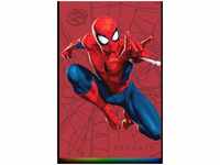 Seagate STKL2000417, Seagate FireCuda STKL2000417 - Spider-Man Special Edition -