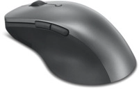 Lenovo Professional - Maus - ergonomisch - optisch blau - 6 Tasten - kabellos -
