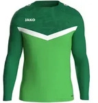 JAKO Sweat Iconic (soft green/sportgr&uuml;n / Gr&ouml;&szlig;e 116 / Kinder)