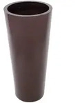 EUROPALMS LEICHTSIN ELEGANCE-110, braun, gl&auml;nzend