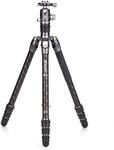 Benro Rhino Tripod Kit (FRHN24CVX25)