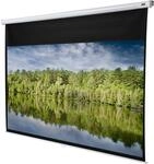 CELEXON Leinwand Rollo Economy 305x172