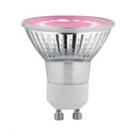 Paulmann 28974 Grow Green Edition Filament 230V LED Reflektor GU10 95lm 3,5W 1100K