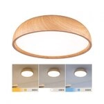 Paulmann 71083 Selection Bathroom LED Deckenleuchte Oka IP44 White Switch 950lm 230V