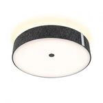 Paulmann 79986 LED Deckenleuchte 3-Step-Dim Malika 2700K 2300lm 230V 29W Anthrazit