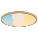 Paulmann 71260 LED Panel Atria Shine IP44 rund 398mm 20,8W 2800lm White Switch