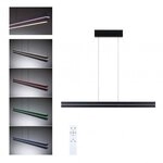 Paulmann 78474 LED Pendelleuchte Raiko RGBW+ 2300lm / 370lm 19W / 6W Schwarz
