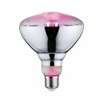 Paulmann 28737 LED Grow Green Reflektor Pflanzenlampe 6,5 Watt E27 1.300K Paulmann 28737 LED Grow Green Reflektor Pflanzenlampe 6,5 Watt E27 1.300K
