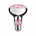 Paulmann 28733 LED Grow Green Pflanzenlampe R80 E27 6,5 W Paulmann 28733 LED Grow Green Pflanzenlampe R80 E27 6,5 W