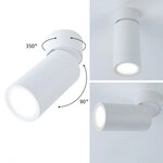 Paulmann 93087 LED Deckenleuchte 3-Step-Dim Turnal Coin 2700K 470lm 230V 6W dimmbar