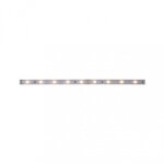 Paulmann 79853 MaxLED 250 LED Strip Warmwei&szlig; Einzelstripe 1m 4W 300lm/m 2700K