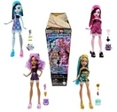 Mattel Monster High - Vergrabene Sch&auml;tze - 1 St&uuml;ck HYV64