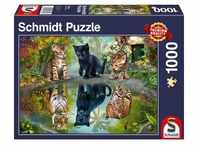 Schmidt Spiele Puzzle - Dream Big! - 1000 Teile 57392