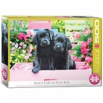 eurographics Puzzle - Schwarze Labradore in einer rosa Schachtel - 500 Teile...