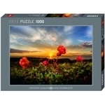 Heye Puzzle - Cloudberries - Standard 1000 Teile 291163