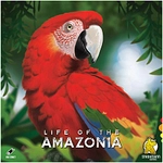 Strohmann Games Life of the Amazonia - deutsch 299797