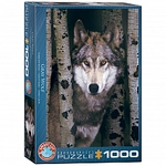 eurographics Puzzle - Gray Wolf - 1000 Teile 300964