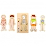 small foot Holzpuzzle Anatomie Tim 271518