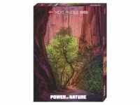 Heye Puzzle - Singing Canyon, Power of Nature - Standard 1000 Teile 291430