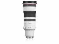 Canon RF 100-300/2.8 L IS USM